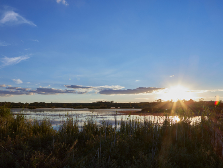 How to make a wetland thrive - just add water!