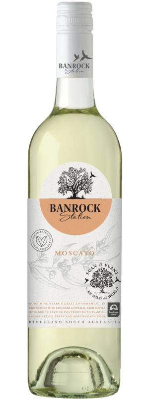 Our Banrock Wines Station –